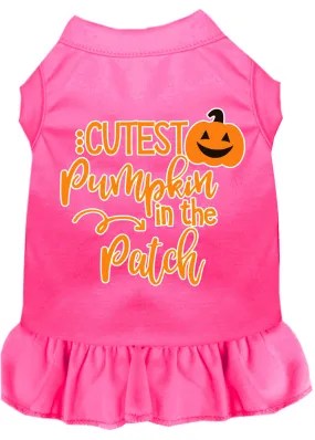 Cutest Pumpkin In The Patch Screen Print Dog Dress Bright Pink 4x