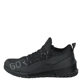 Ecco Biom 2.0 M Black/black
